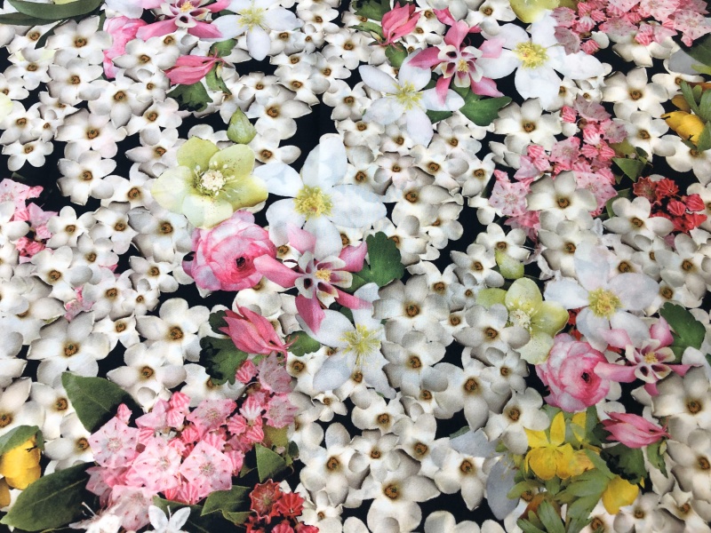 Крепдешин шелковый с цветочным принтом гортензии - Quorum